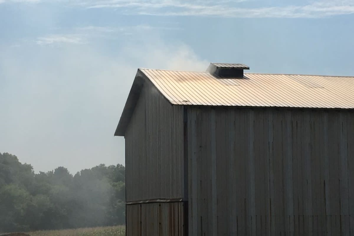 A smoking tobacco barn in Montgomery County.