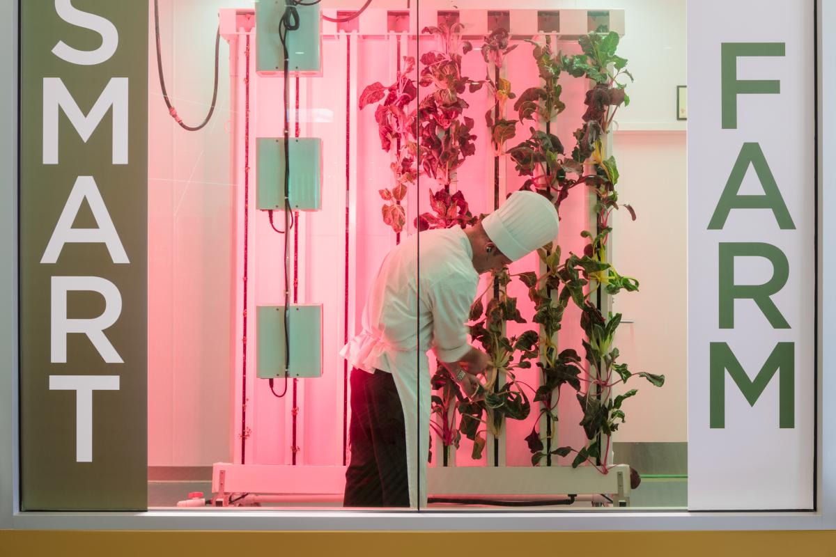 Smartfarm Chef