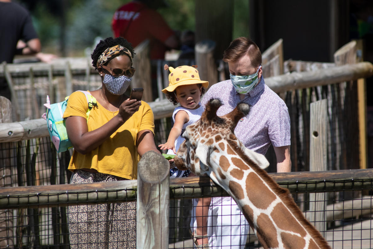 Guests wearing masks petting a giraffe at the Columbus Zoo and Aquarium