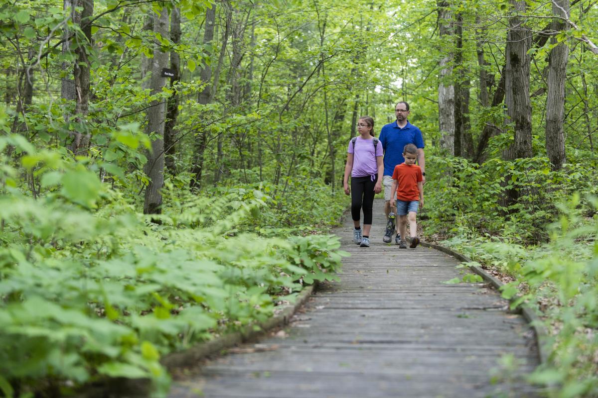 Spencer Crest Family Hike