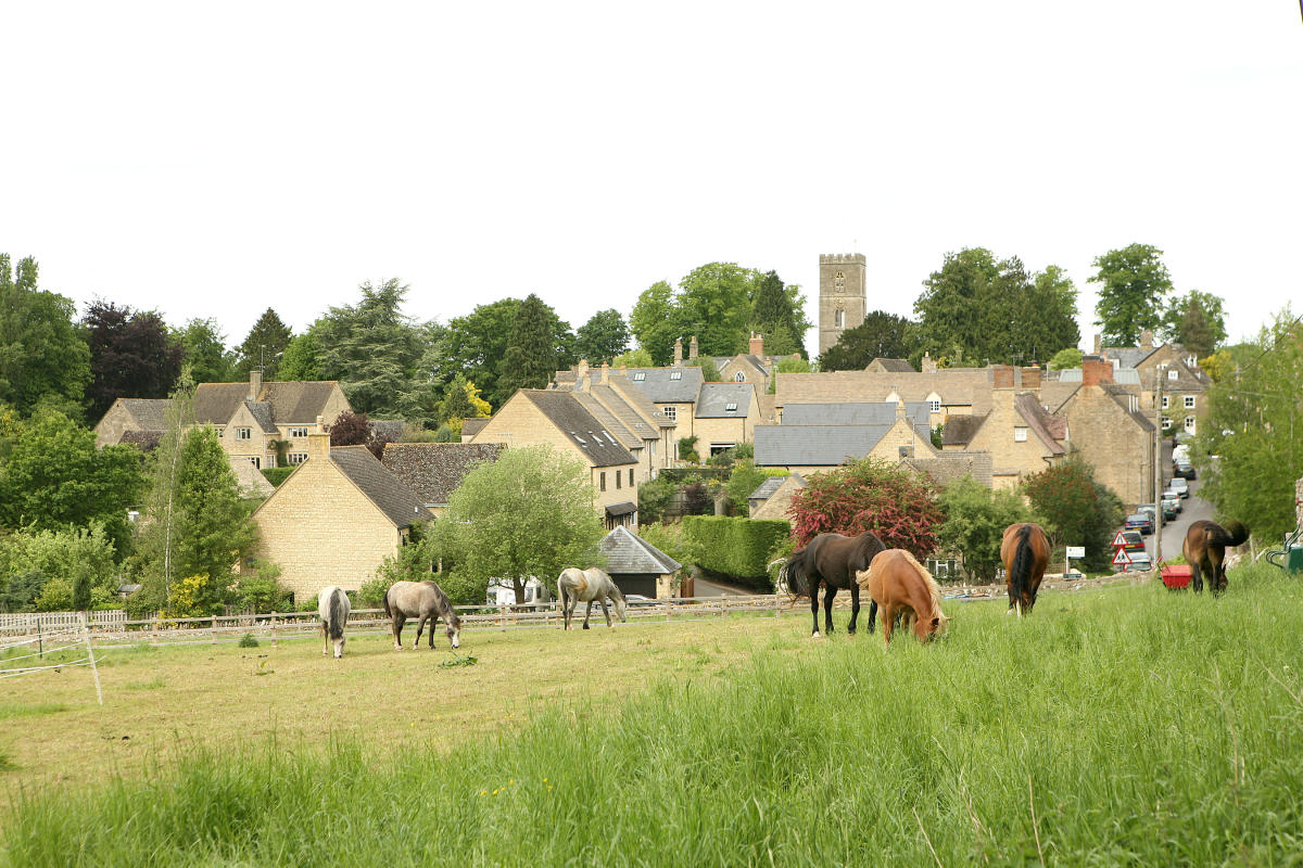 A view across a field with horses in towards Charlbury