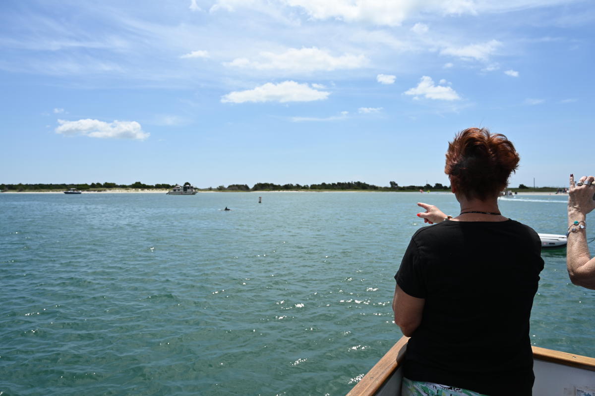 Pointing out a Dolphin