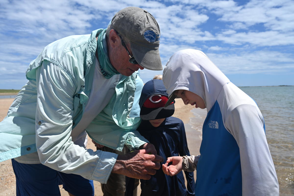 Looking at Critters