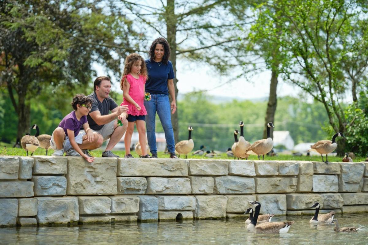 Children's Lake-96
