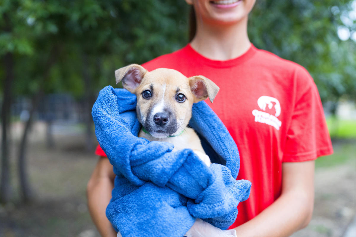 Operation Kindness