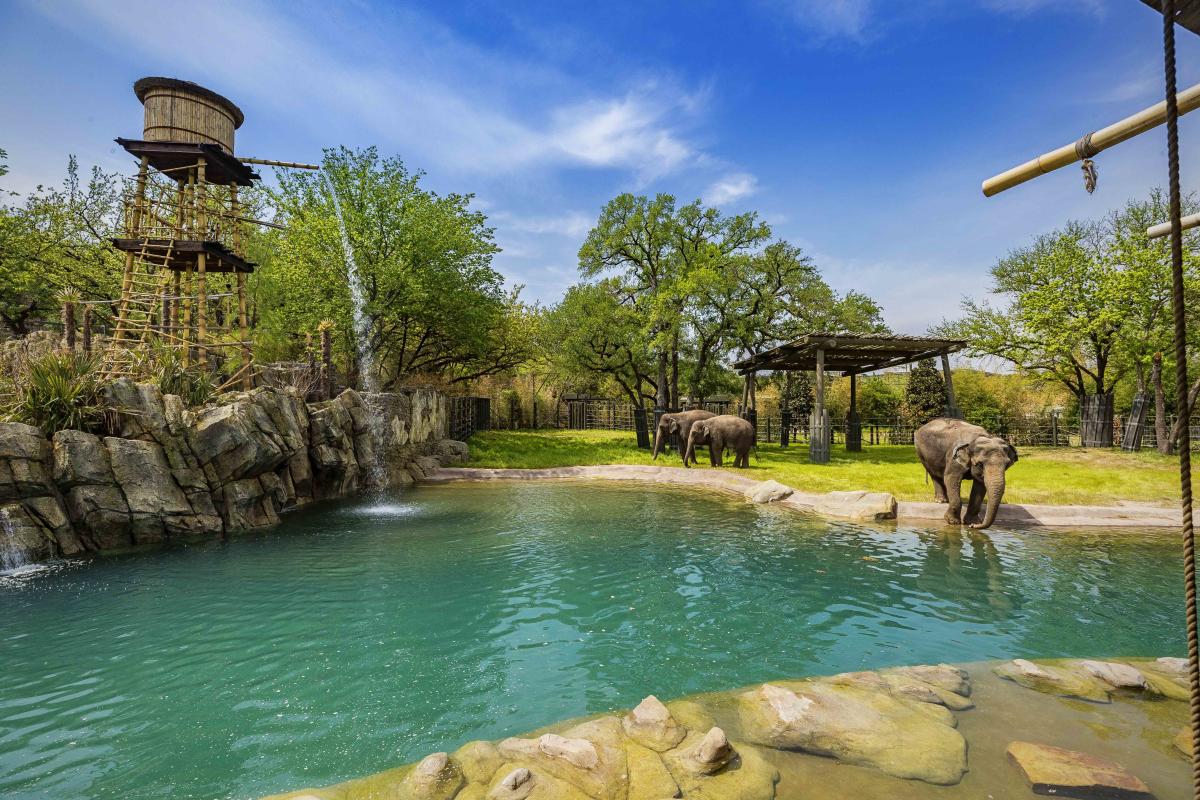 Fort Worth Zoo