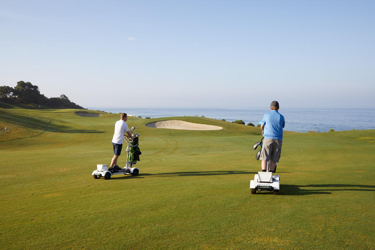 Waldorf Gold links golf board