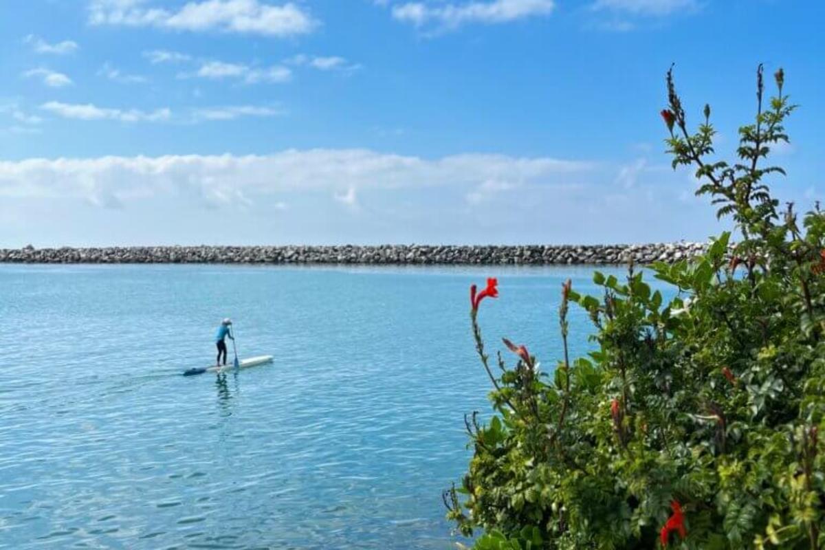 paddling dana point harbor