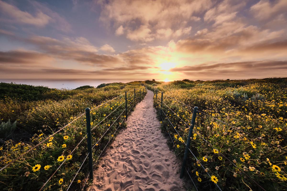 Dana Point Headlands Trail Sunset