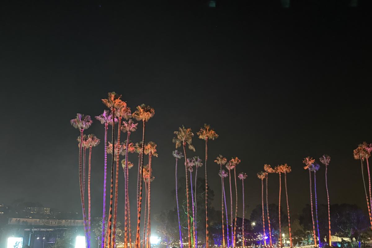 Palm Trees at Ohanafest