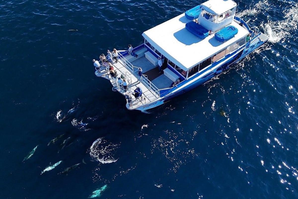 Ocean Adventures Dana Wharf