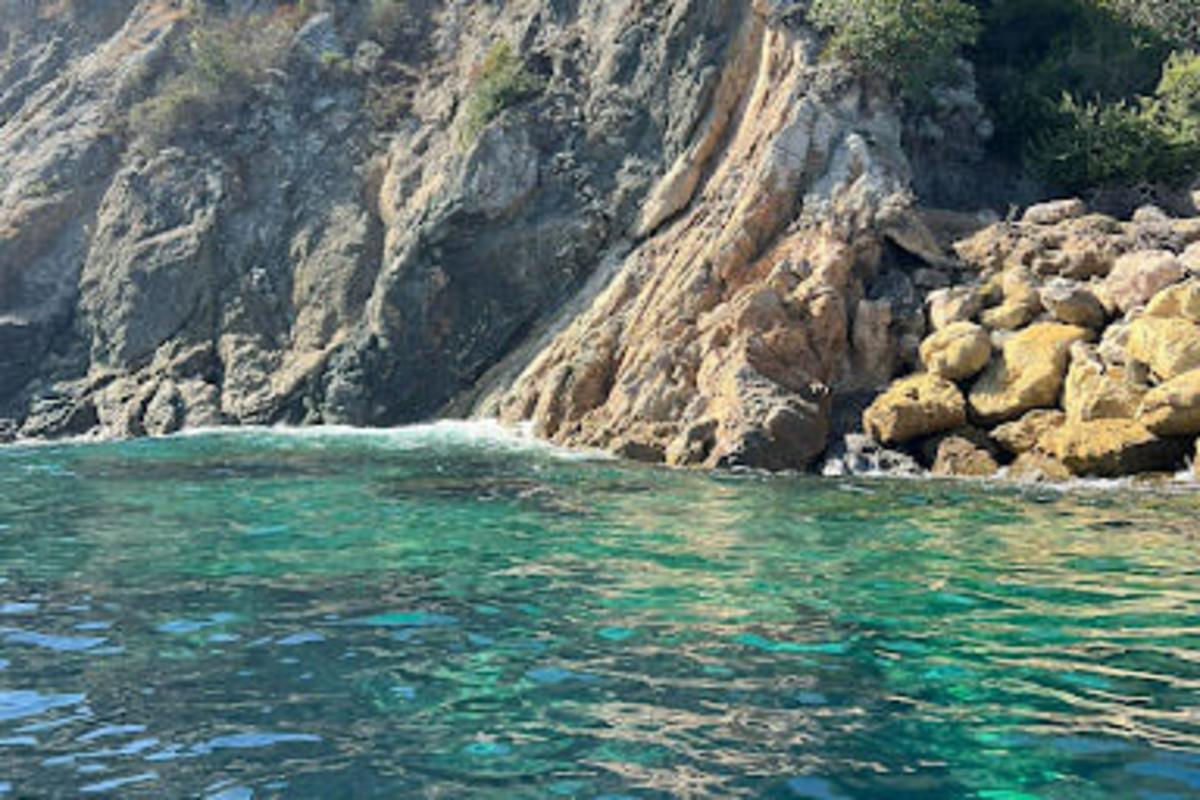 Zip Line Eco Tour on Catalina Island