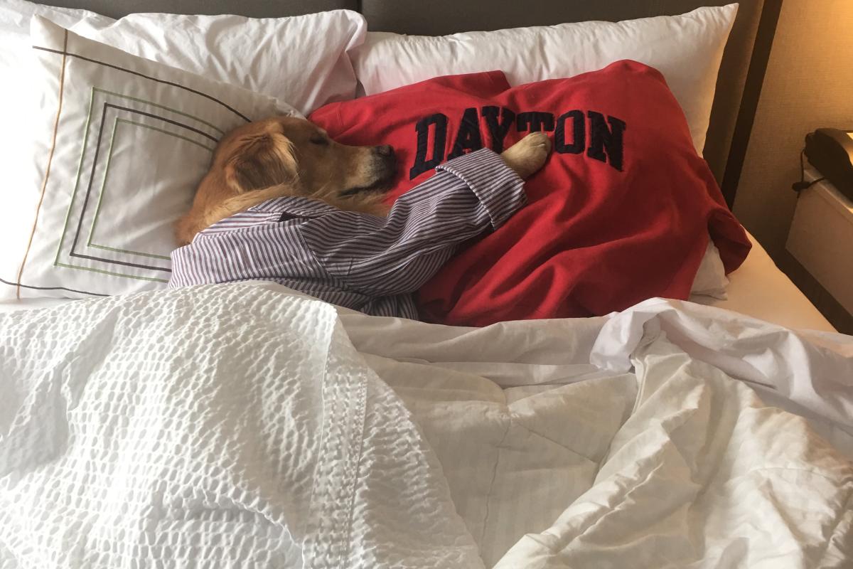 Dreaming of Dayton Zoom