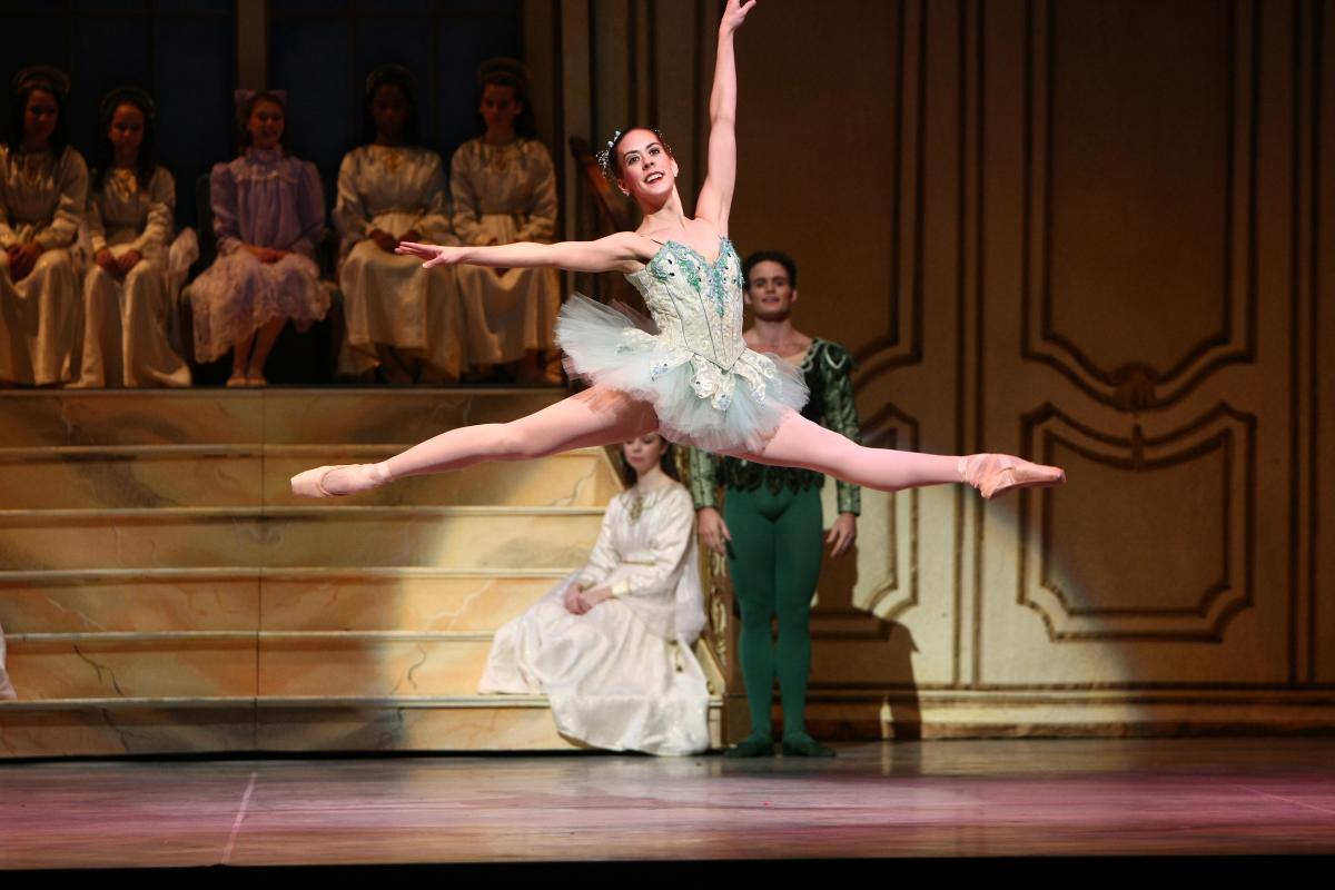 Dayton Ballet Zoom