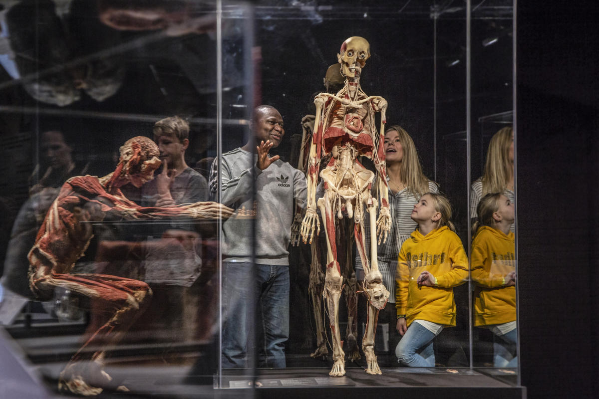Explore real human bodies from the inside out with this stunning exhibit at Da Vinci Science Center.