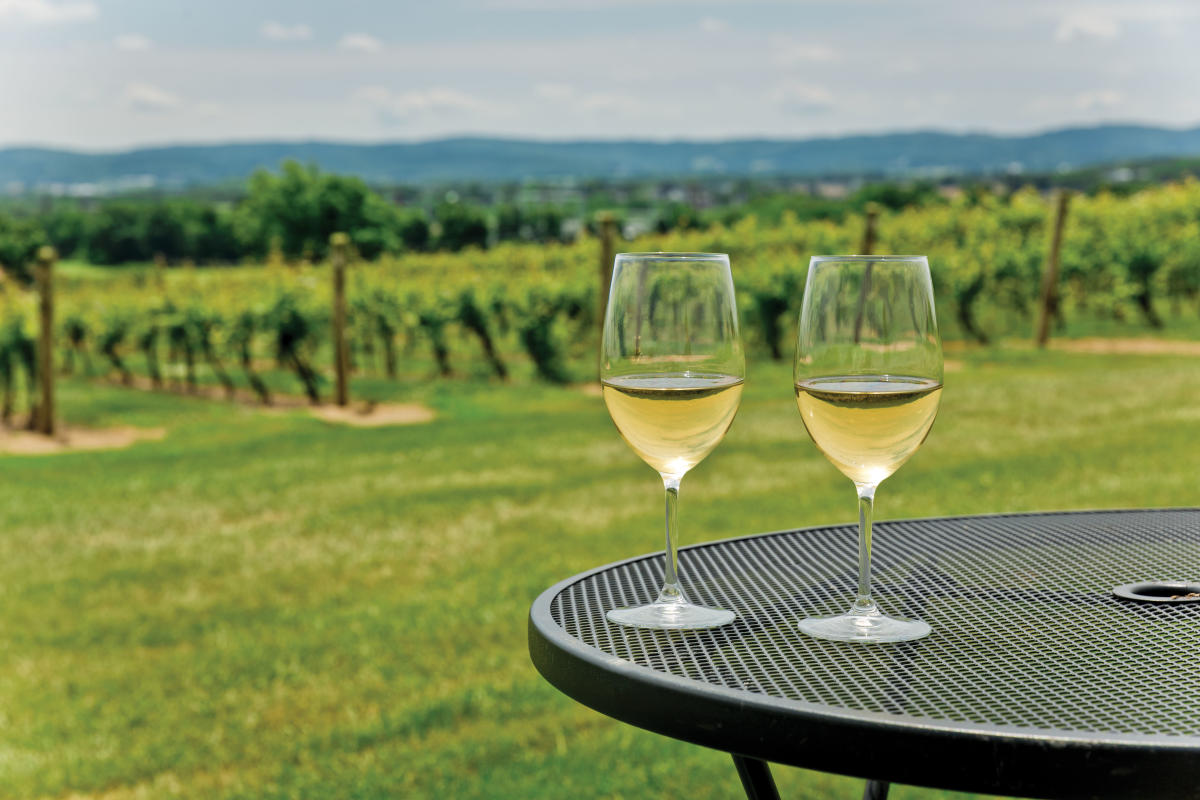 Taste the wines of the Lehigh Valley American Viticultural Area, Lehigh Valley, PA