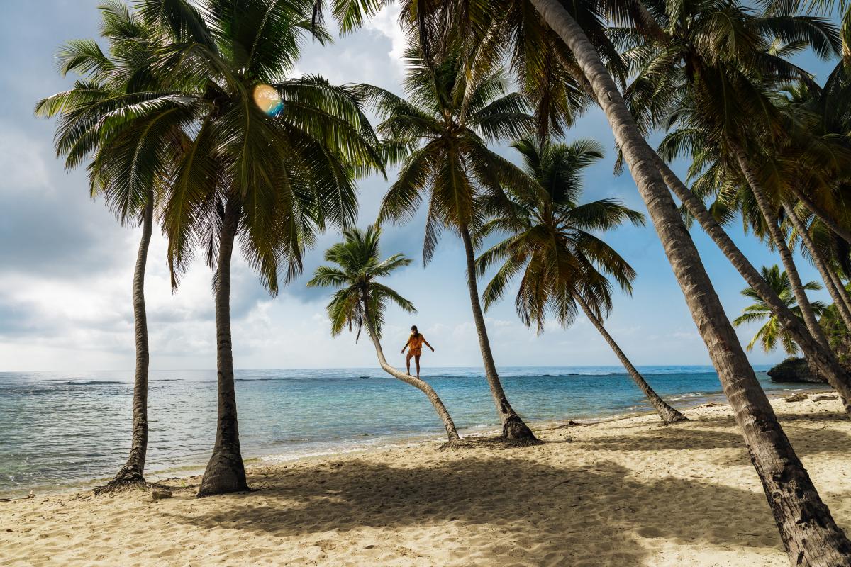 Samana - Playa Frontón. Taste the paradise