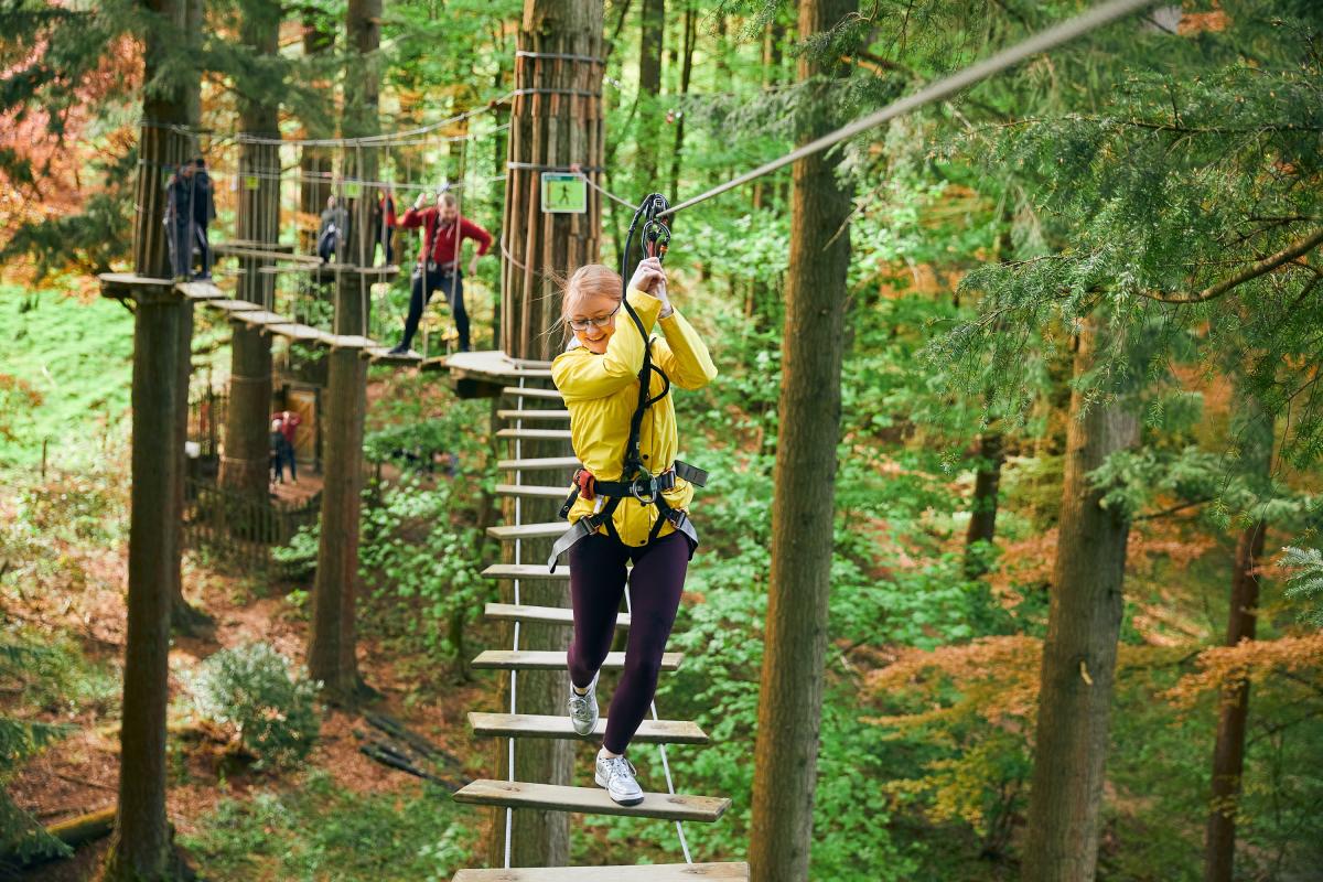 Go Ape at Moors Valley