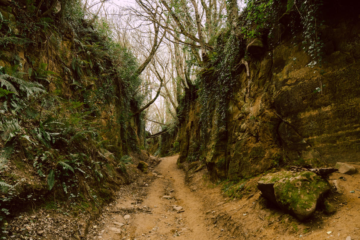 The Holloways, Symondsbury
