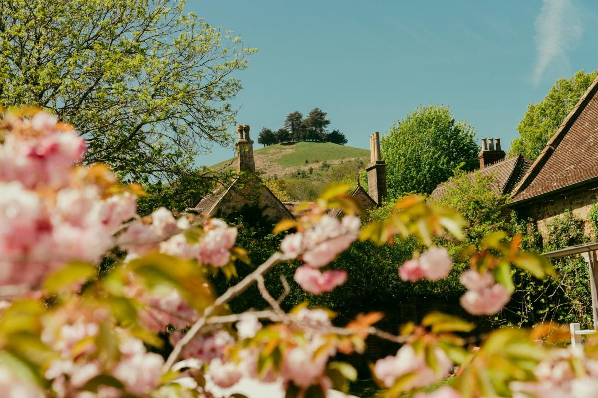 Colmers Hill, Symondsbury
