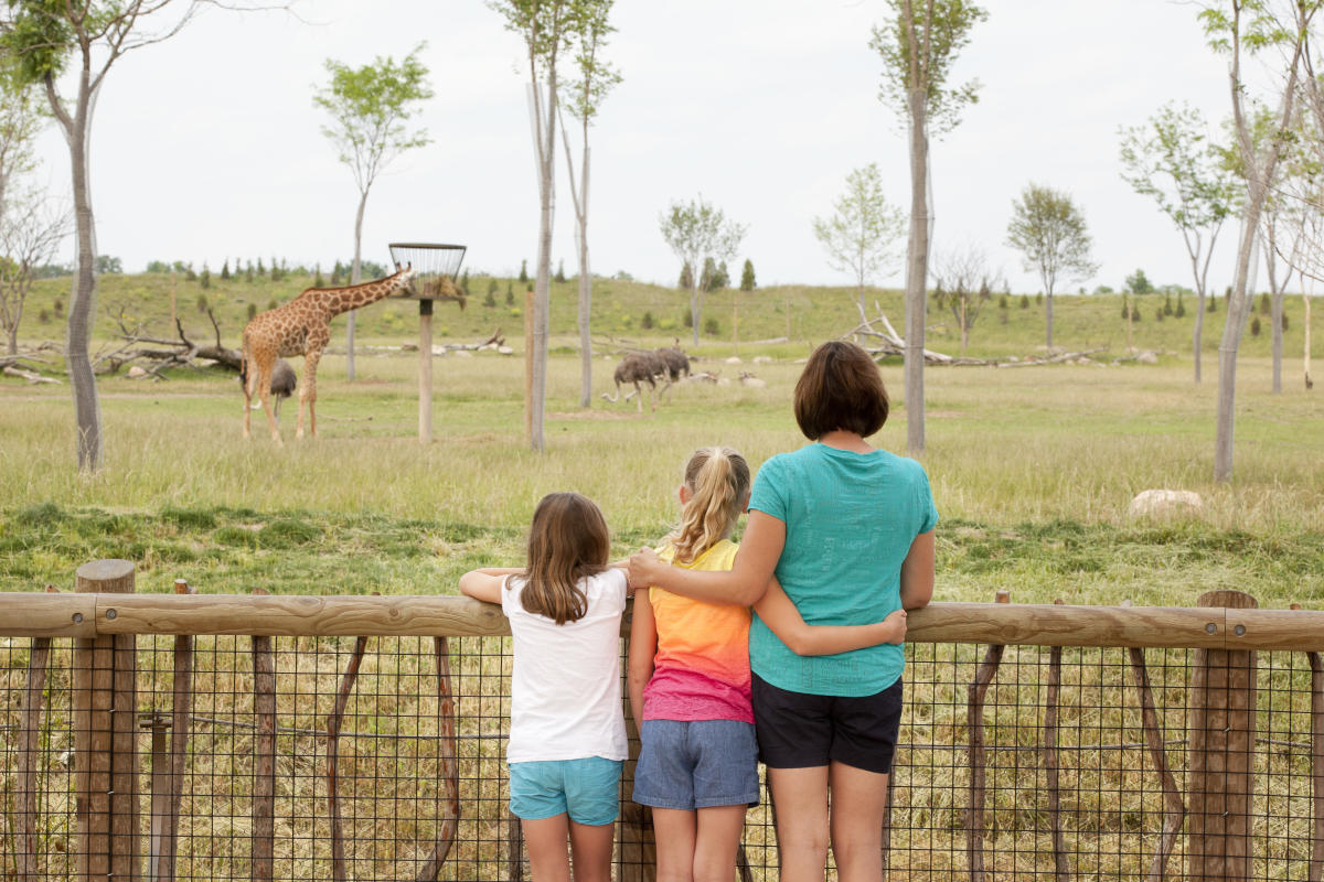 A mother and her two daughters arm in arm looking out at the savanna at the Heart of Africa at the Columbus Zoo.