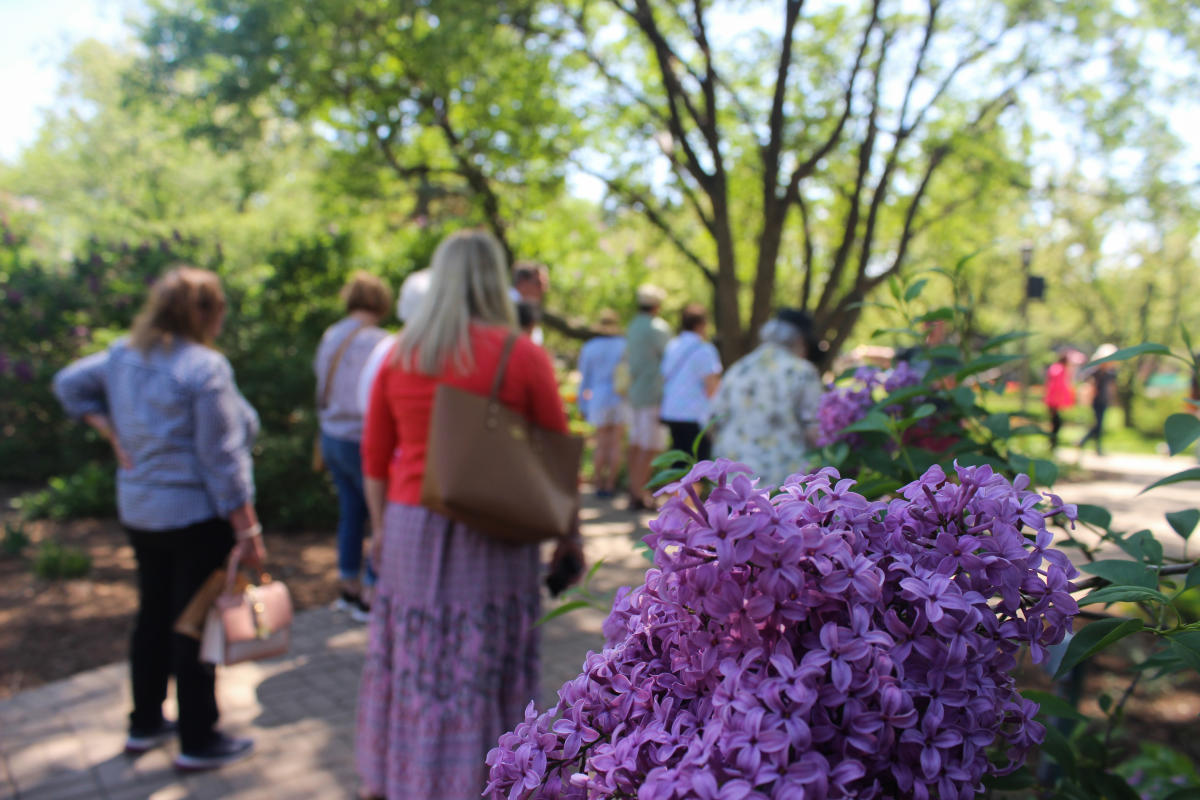 a spring day at Lilacia Park where people are smelling lilacs
