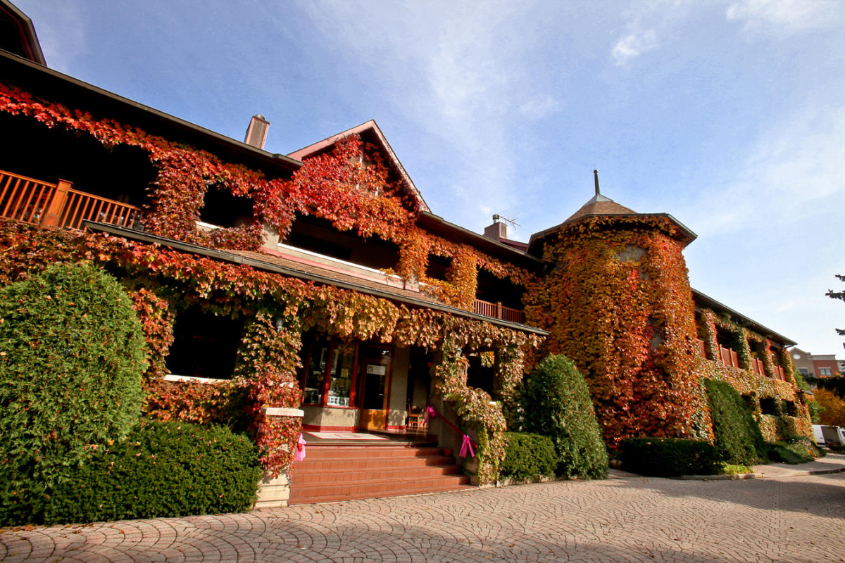 Lynfred Winery covered in autumn leaves