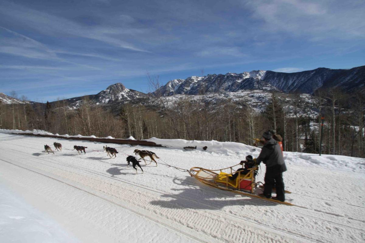 Dog sledding