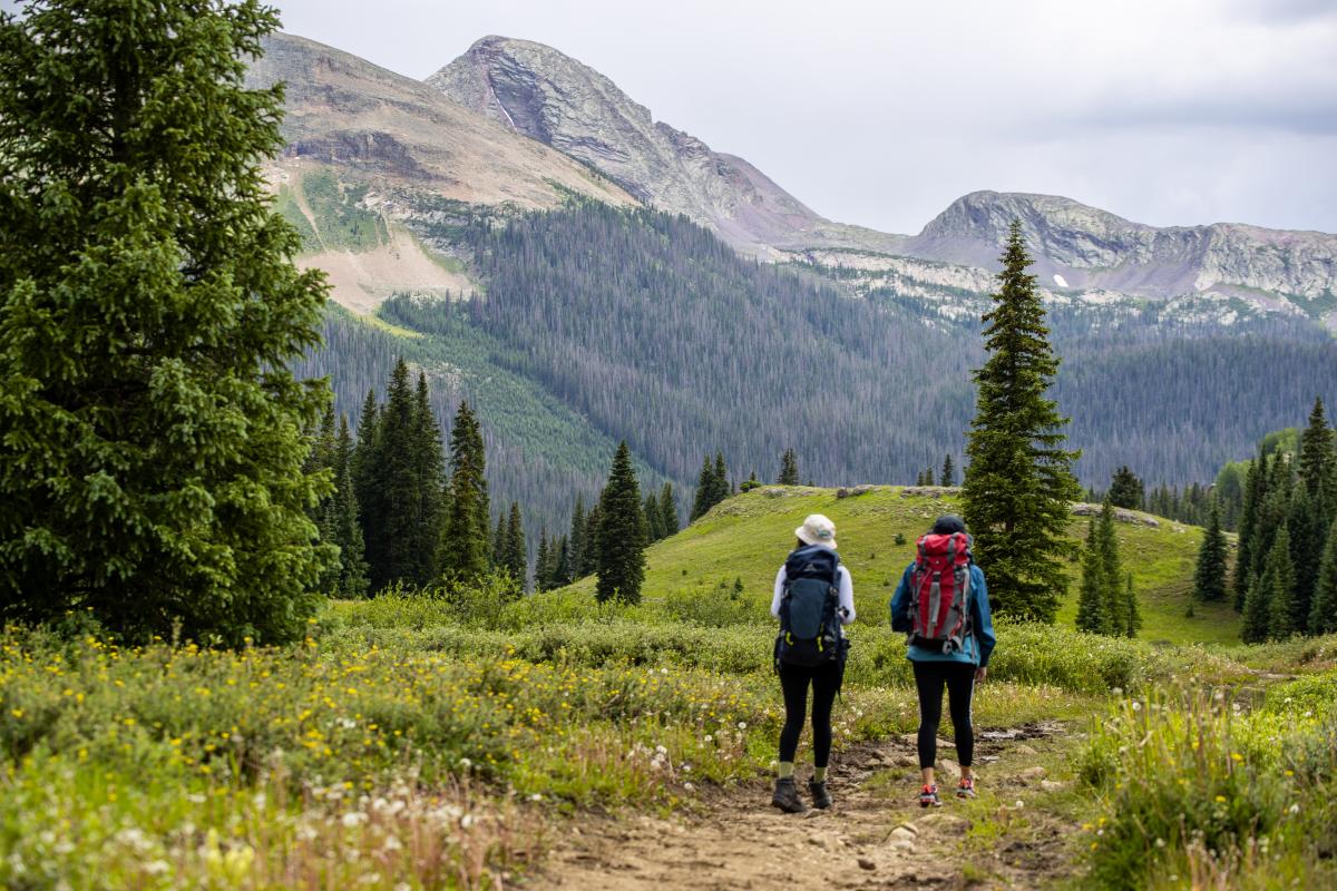 Backpacking on the Colorado Trail at Molas Pass During Summer | Hans Hollenbeck | Visit Durango