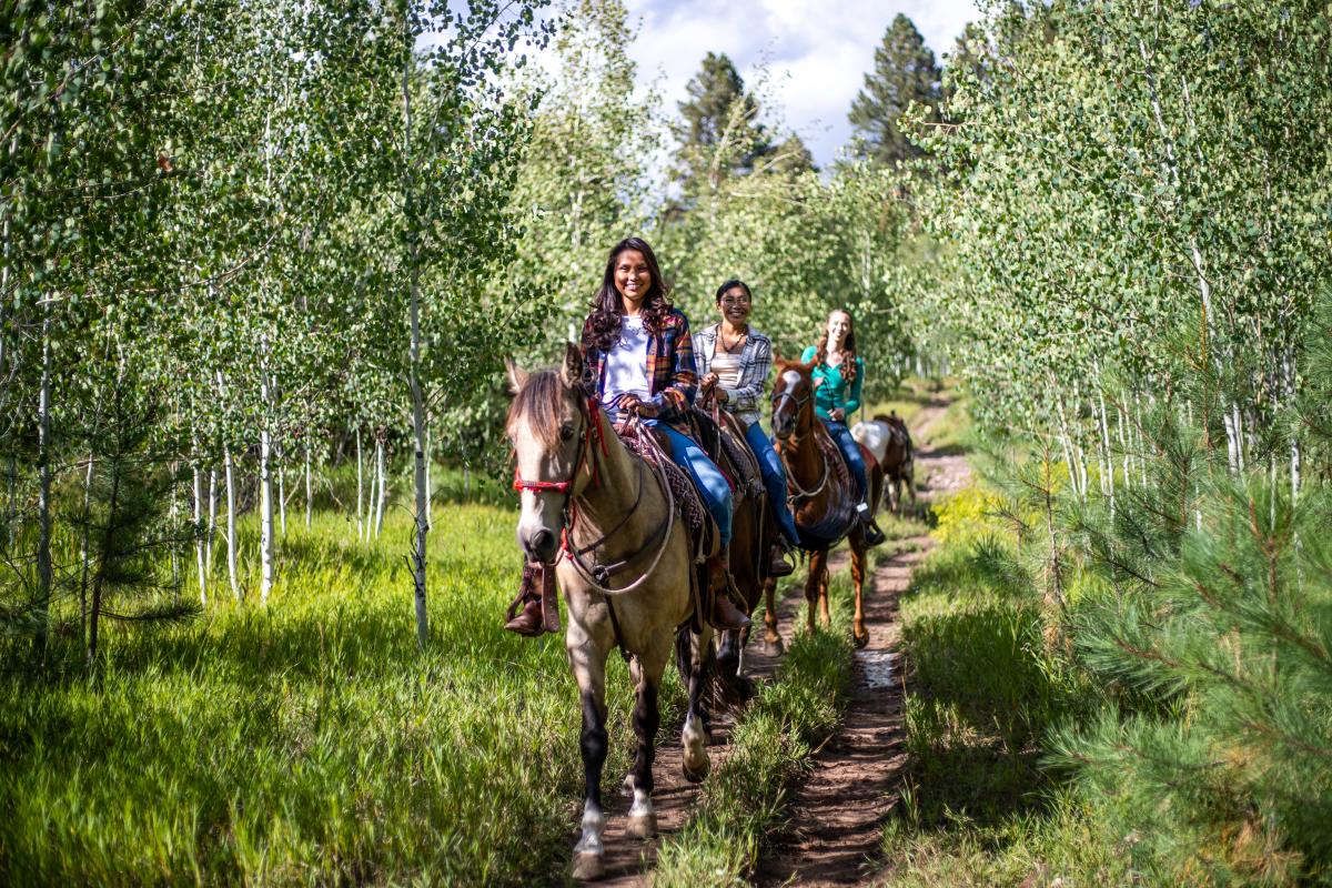 Horseback Riding at Bears Ranch During Summer