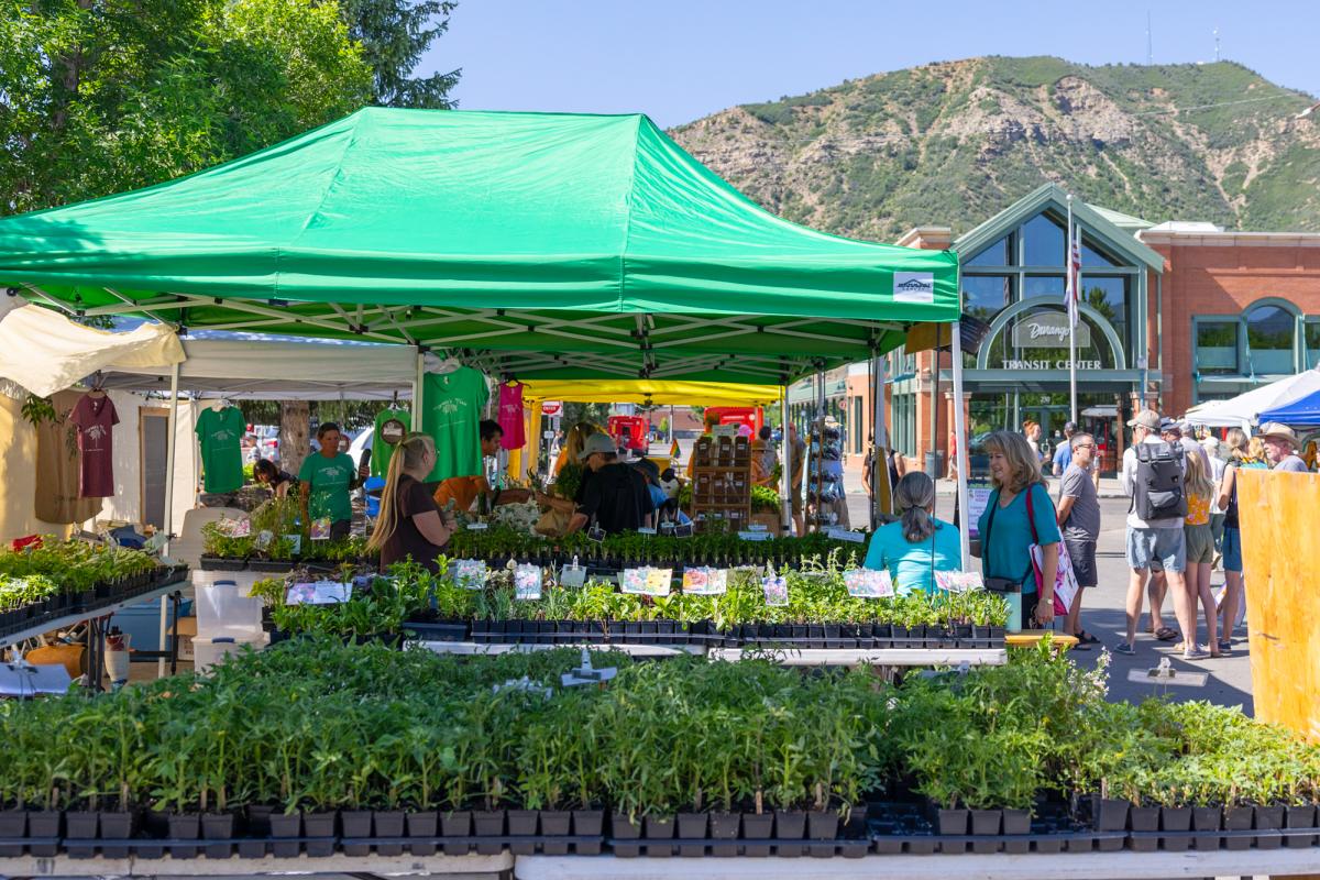 Farmers Market During Summer | Scott Smith | Visit Durango