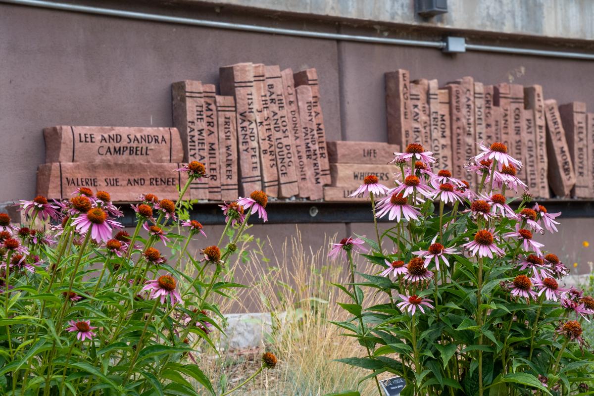 Flowers At The Durango Botanic Gardens