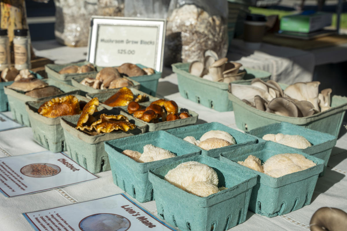 Vendors at the Durango Farmers Market during Summer