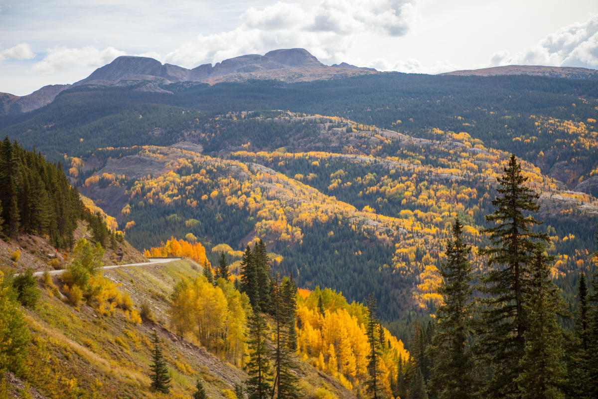 Snowdon Peak and Highway 550 During Fall from Coal Bank Pass