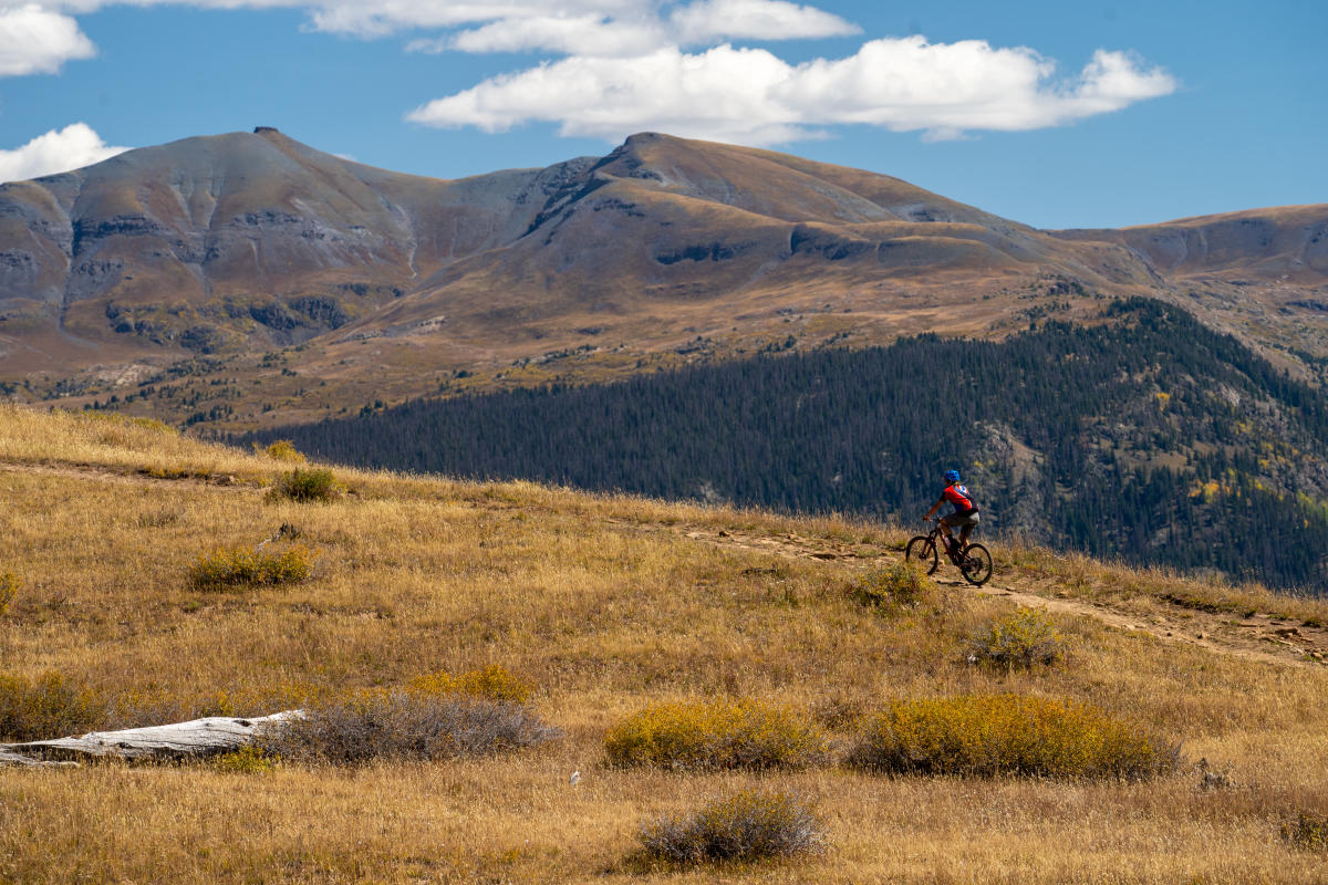 Mountain Biking on the Colorado Trail During Fall