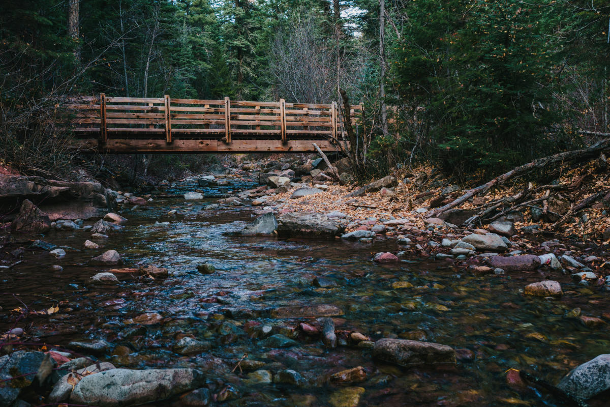 Bridge Over Junction Creek on the Colorado Trail During Fall