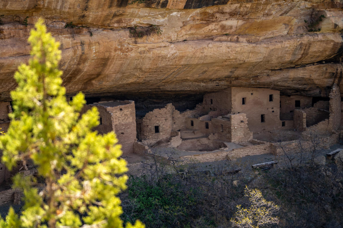 Guided Tour of Mesa Verde National Park by Durango Rivertrippers During Spring