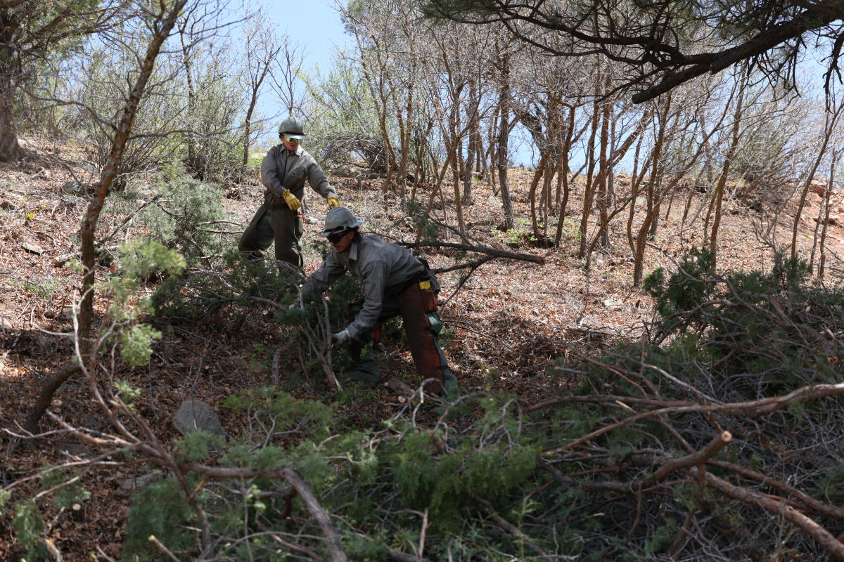 Wide of people making slash piles.