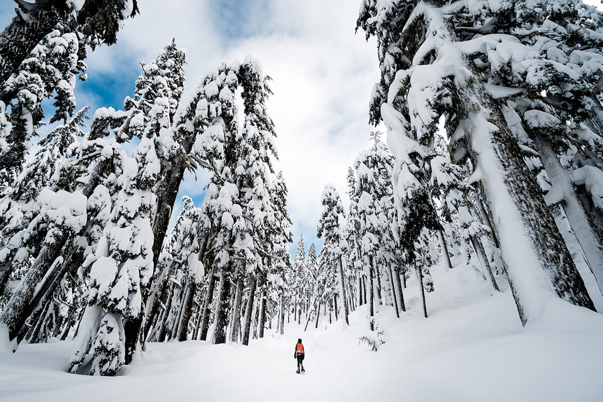 Snowshoeing at Purgatory Resort During Winter