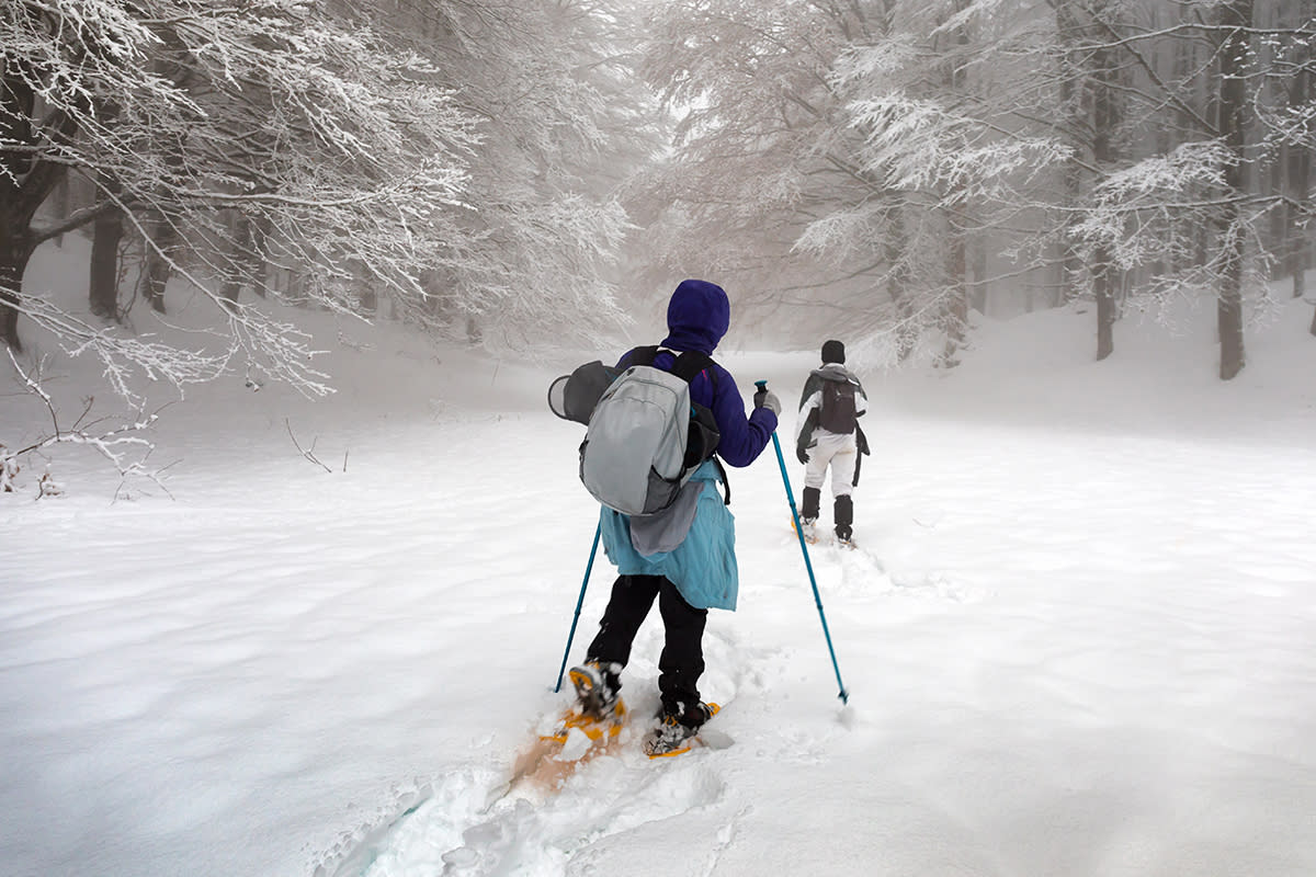 Snowshoeing at Purgatory Resort During Winter