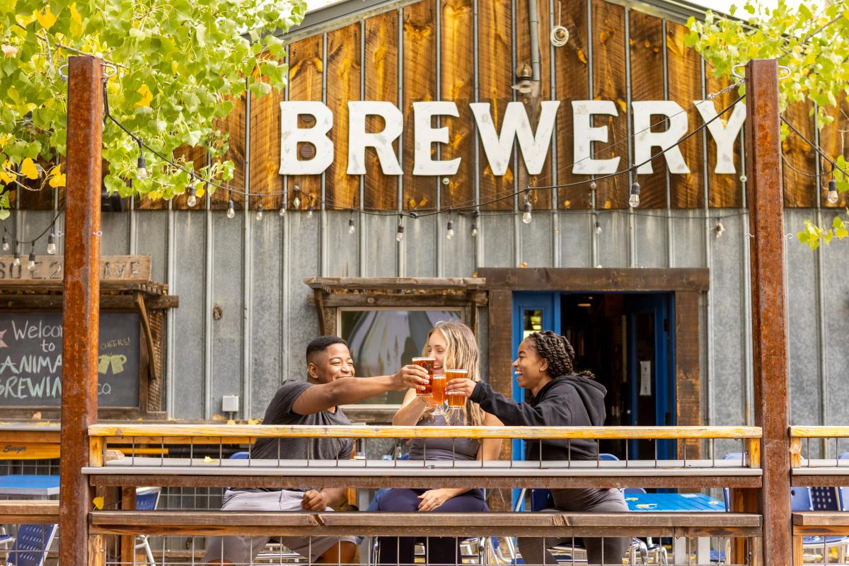 Animas Brewing