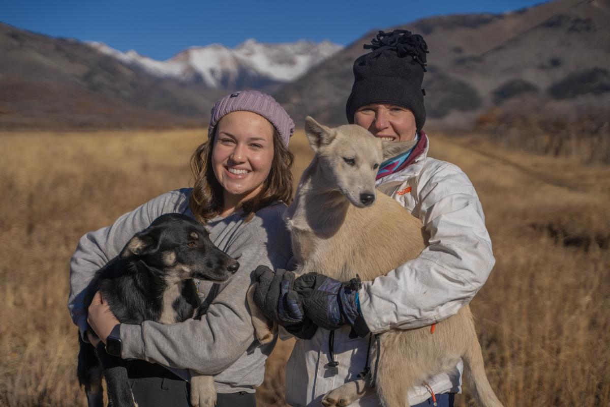 Two dogs on winter hike