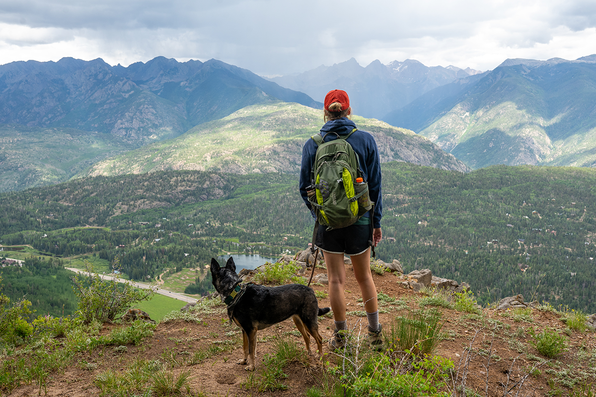 Dog at Castle Rock Peak, Durango, Colorado