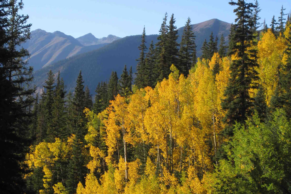 7 Places to See Durango’s Fall Colors Visit Durango, CO Official