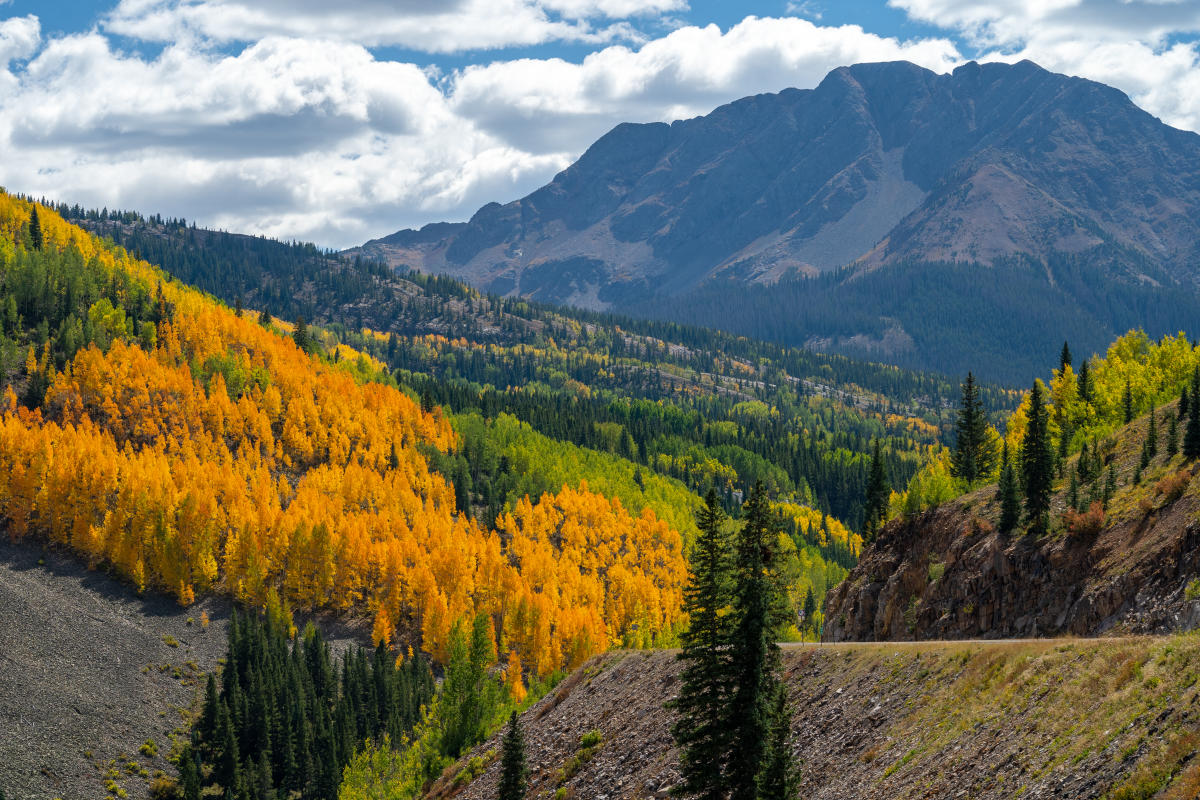 Highway 550 During Fall, Durango, CO