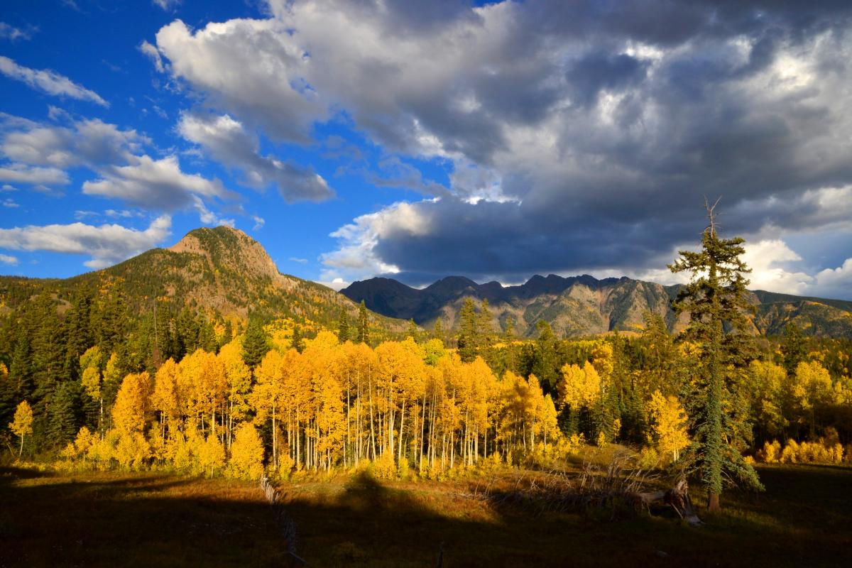 7 Places to See Durango’s Fall Colors Visit Durango, CO Official