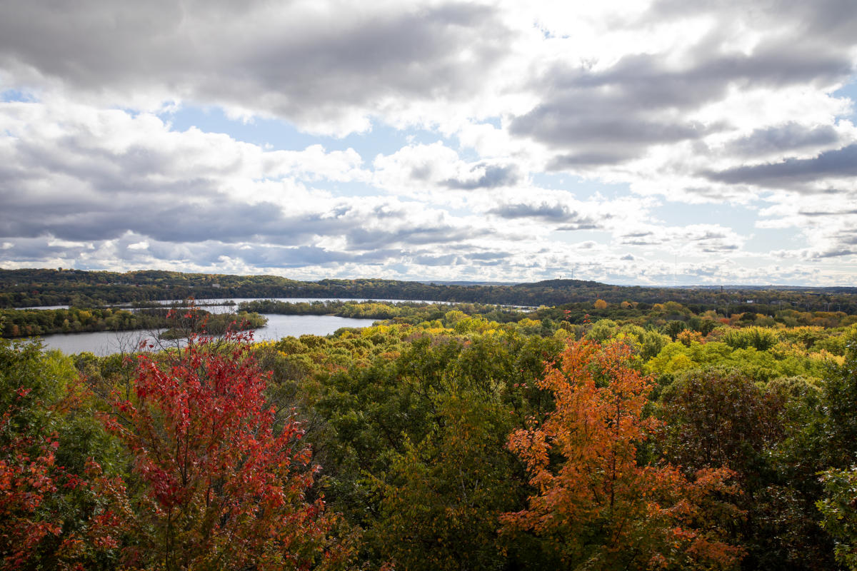 Tree top view from Mt. Simon during the fall