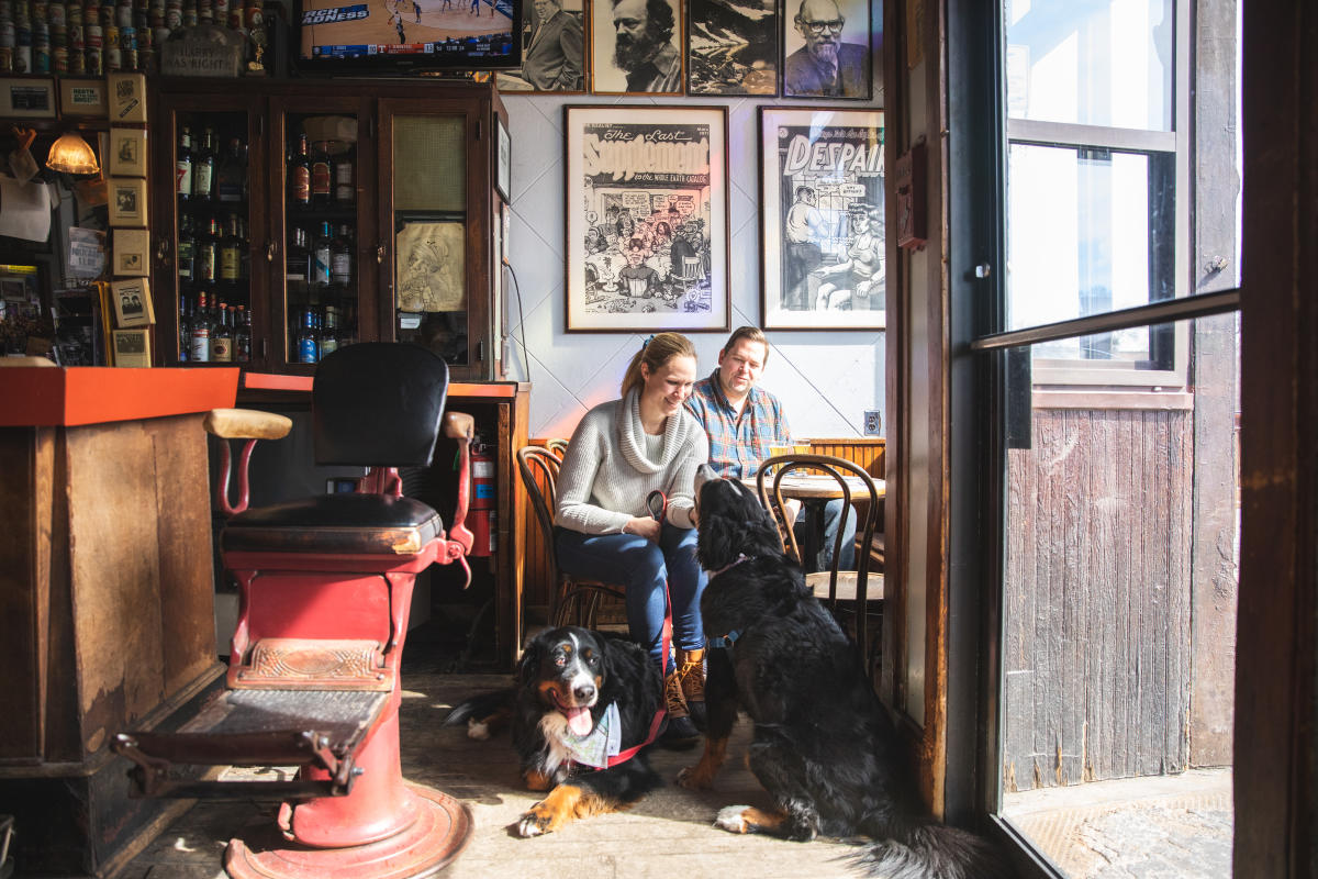 two dogs sitting with their owners inside the Joynt