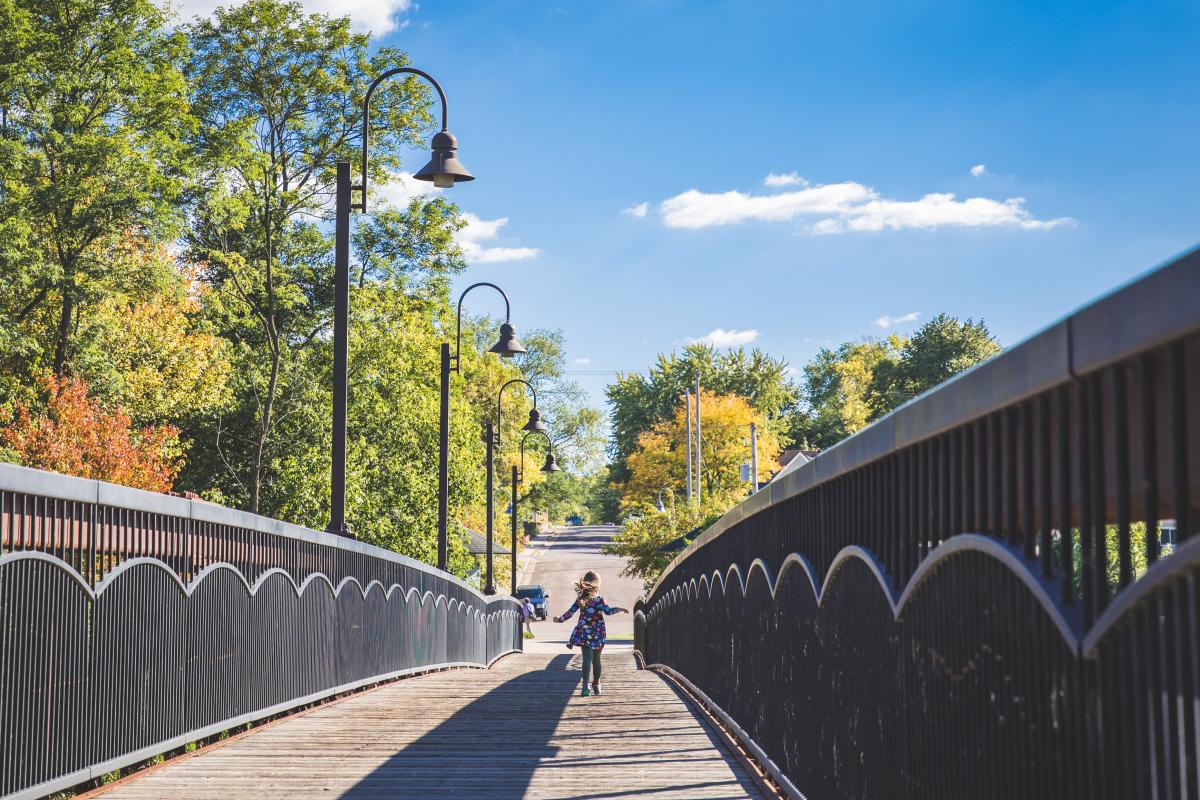 Boyd Park Bridge