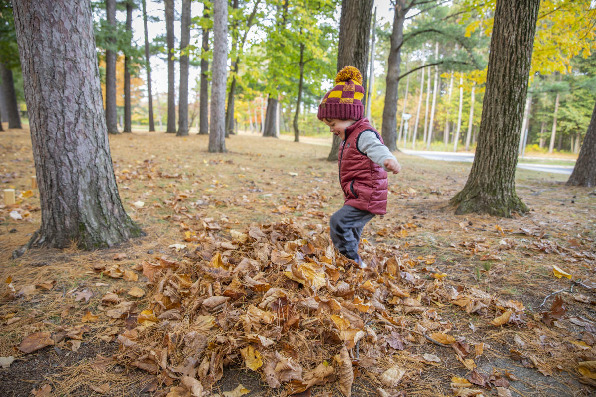 Boy playing in a pile of leaves at Carson Park